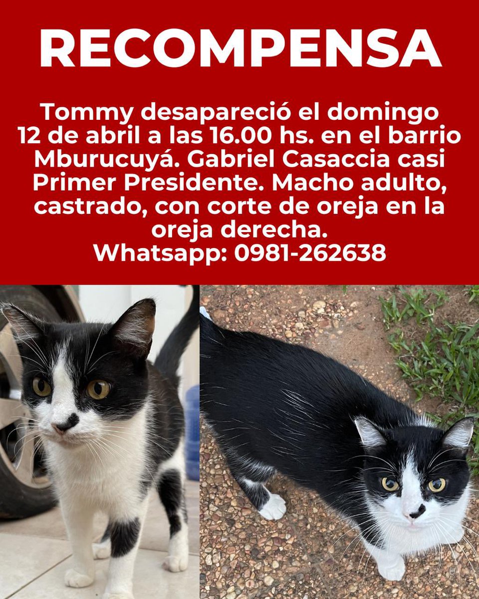 Marcando Huellas tweet media