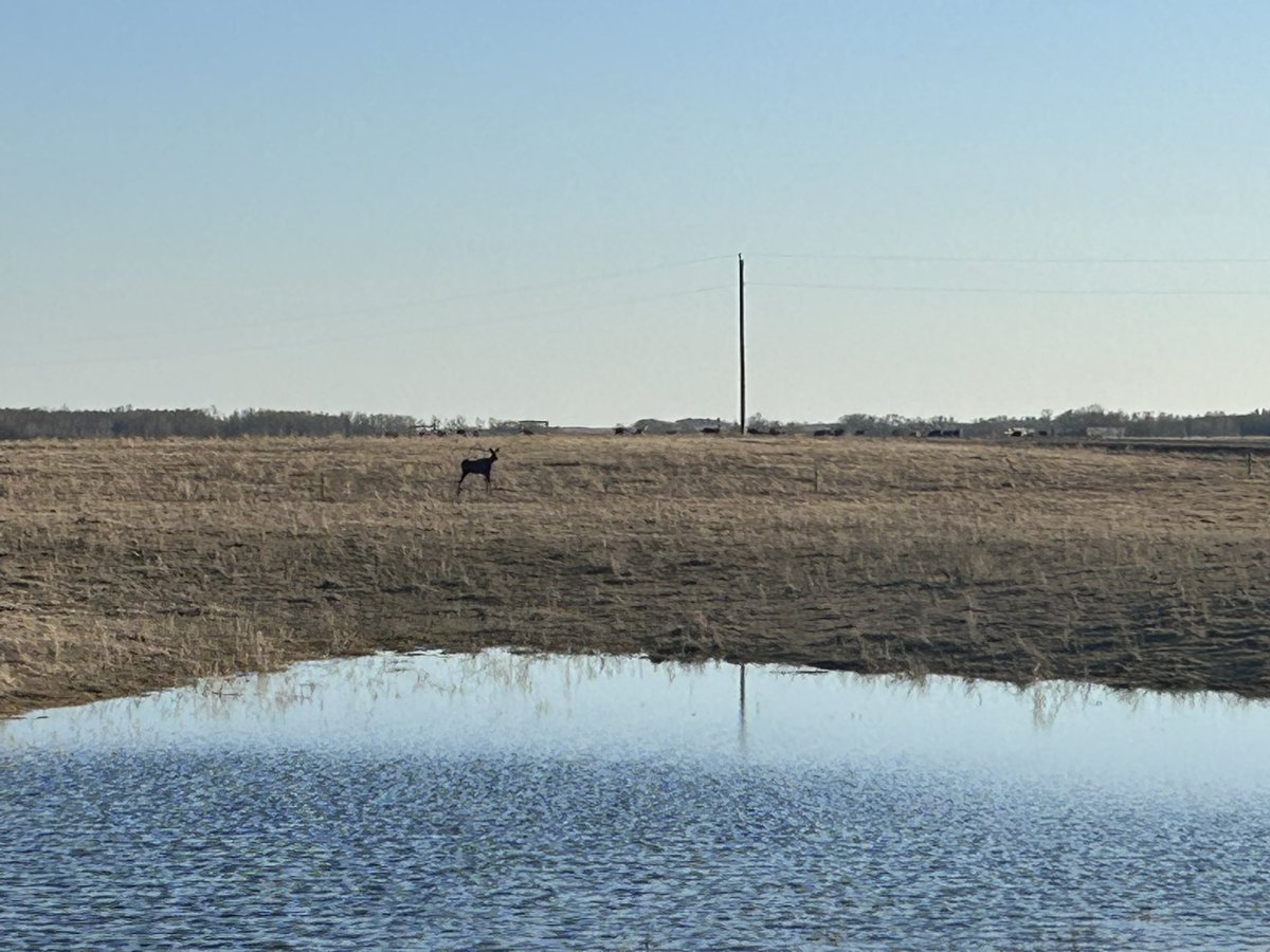 Canadian3DPrinting tweet media