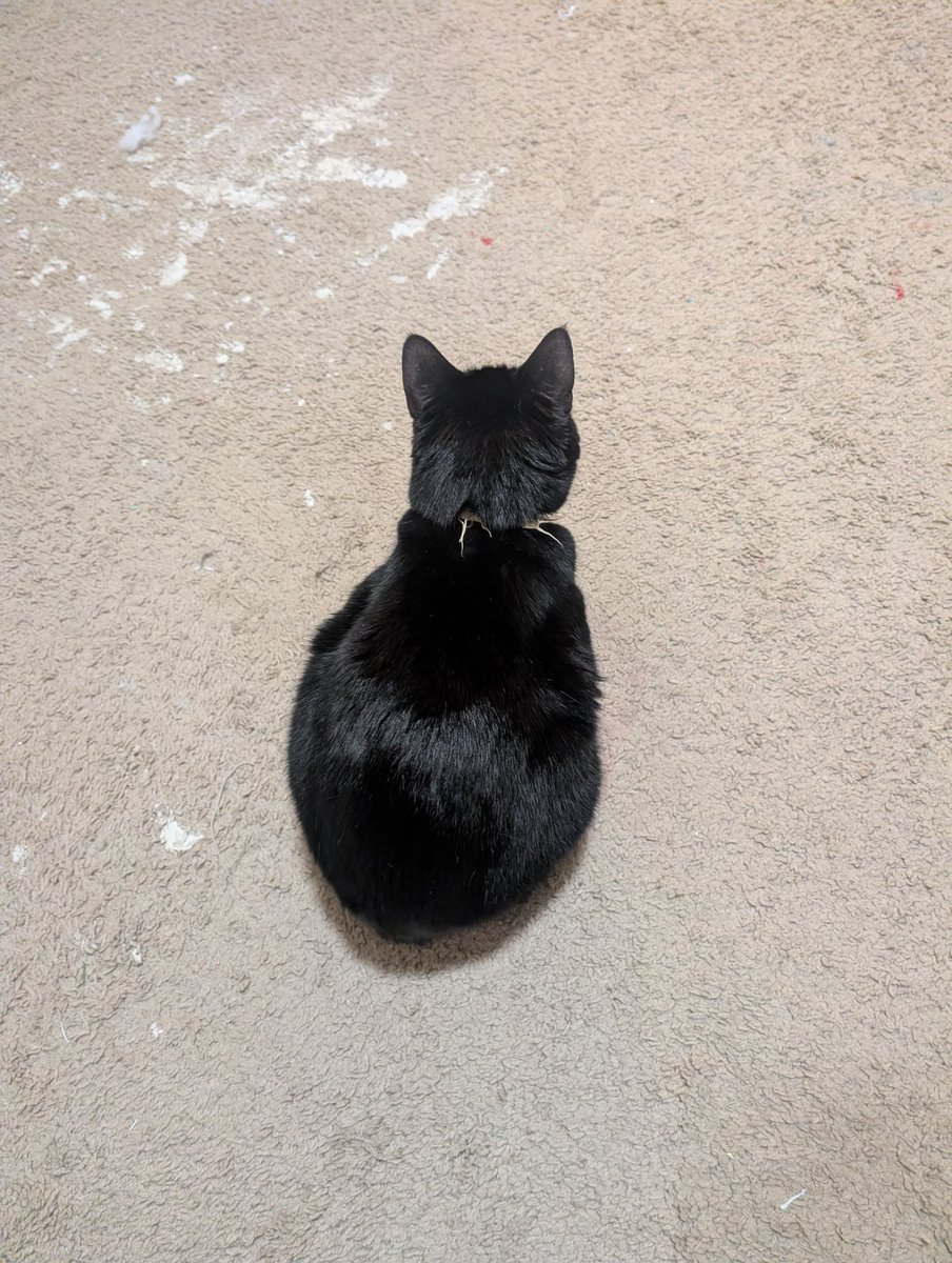 you are so fucking small this is crazy