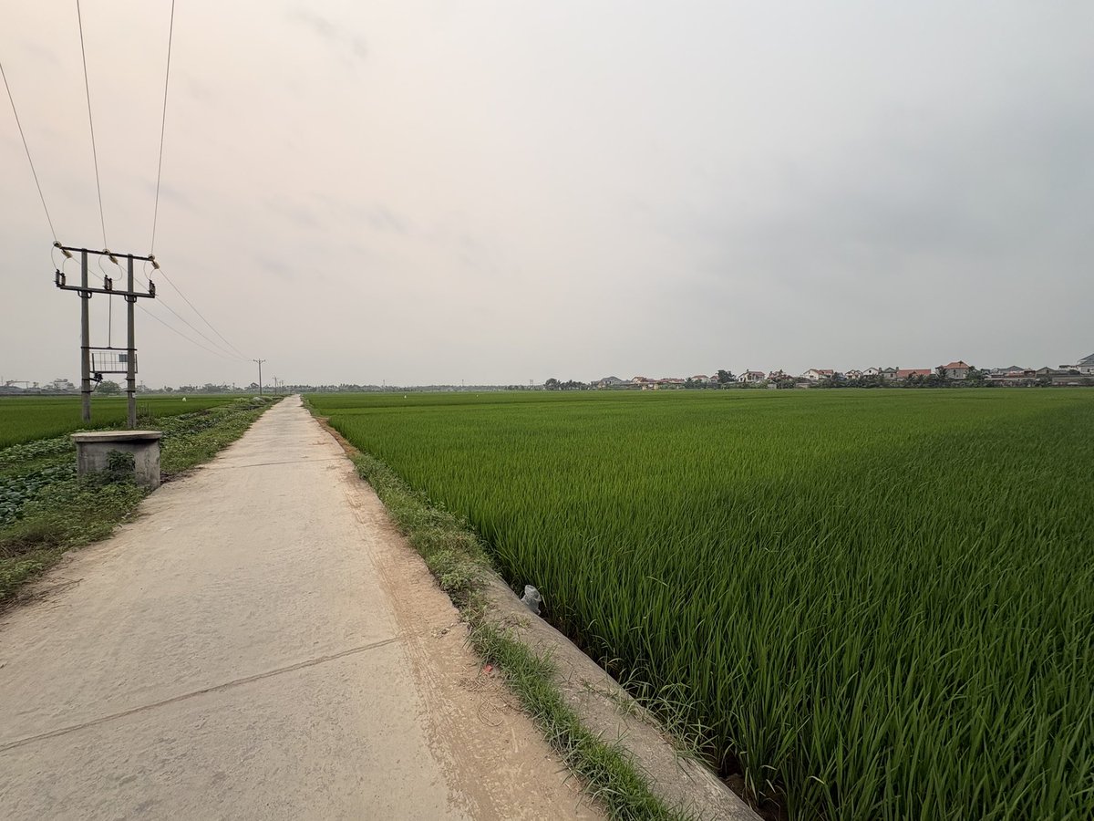 キム社長🇻🇳ベトナム人🇻🇳 Vietnam tweet media