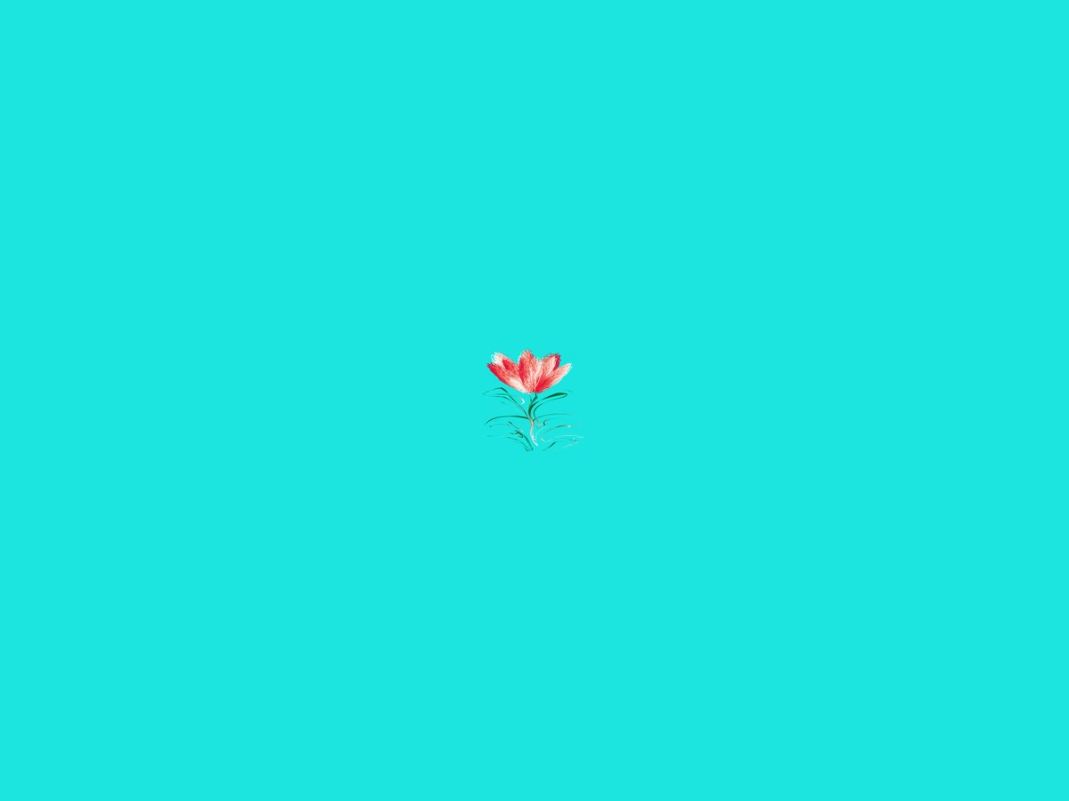sanrotasu0216's tweet image. A single flower　Một bông hoa duy nhất　#AI #PS #Adobe
