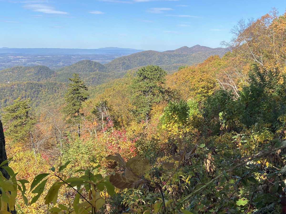 Dr. NFC ドクトル 🇺🇸 tweet media