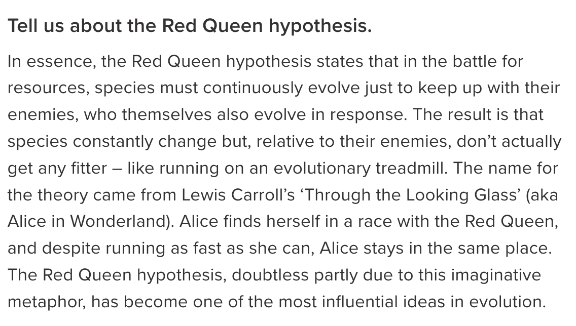 BuccoCapital Bloke tweet media