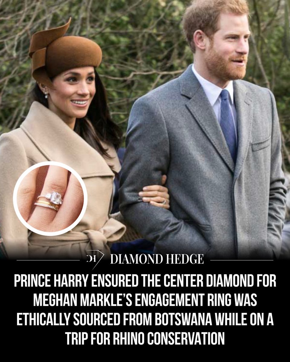 Diamond Hedge tweet media