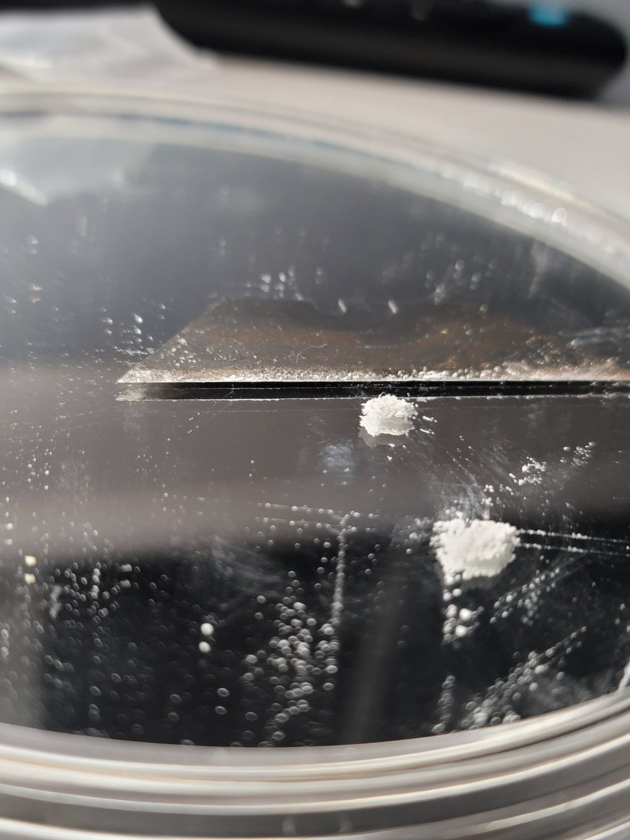 Miaisaokay tweet media