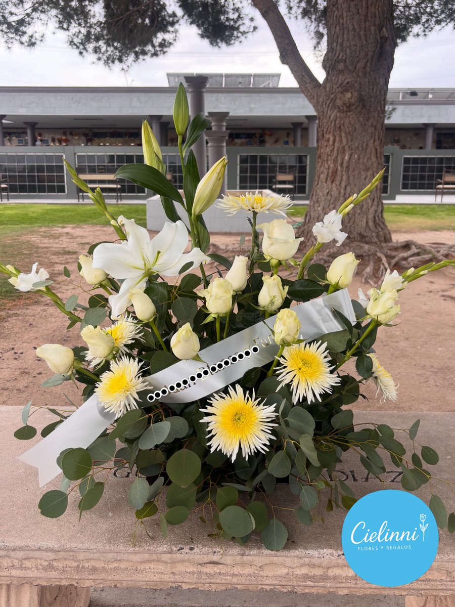 ✨ 🅶🆈🅻✨ tweet media