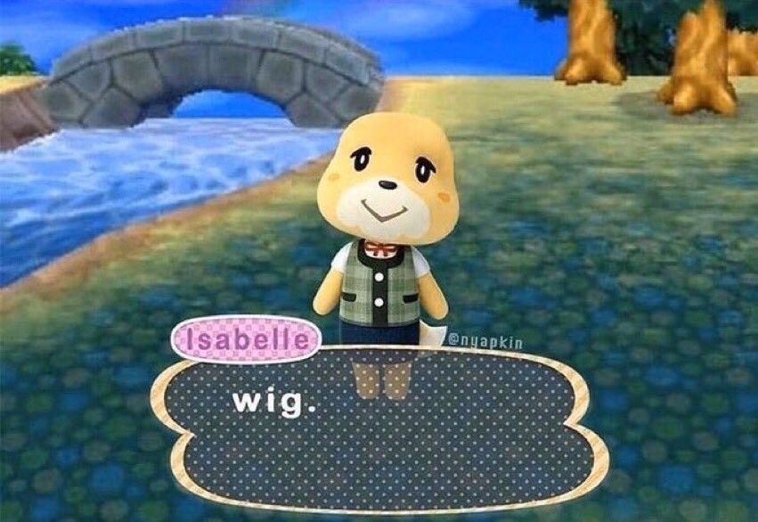 toulouse grande tweet media