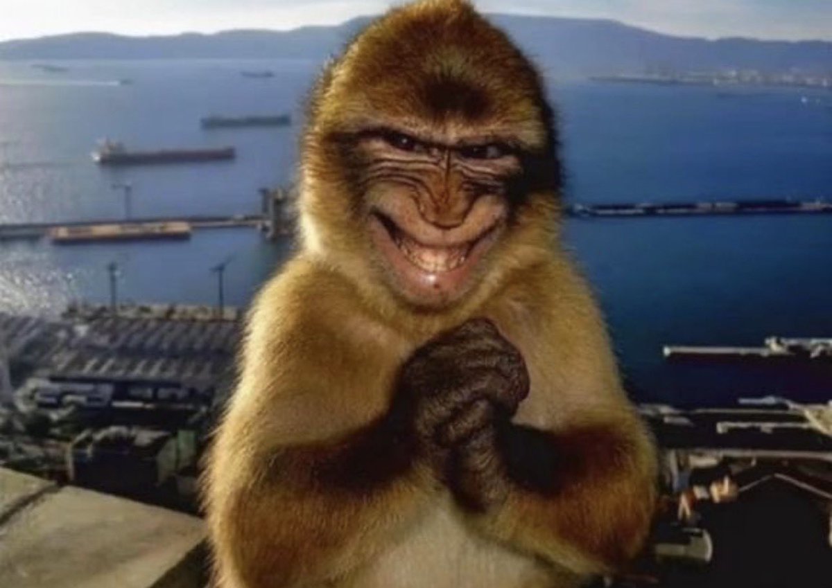 leekz ♰ is ready for act iii tweet media