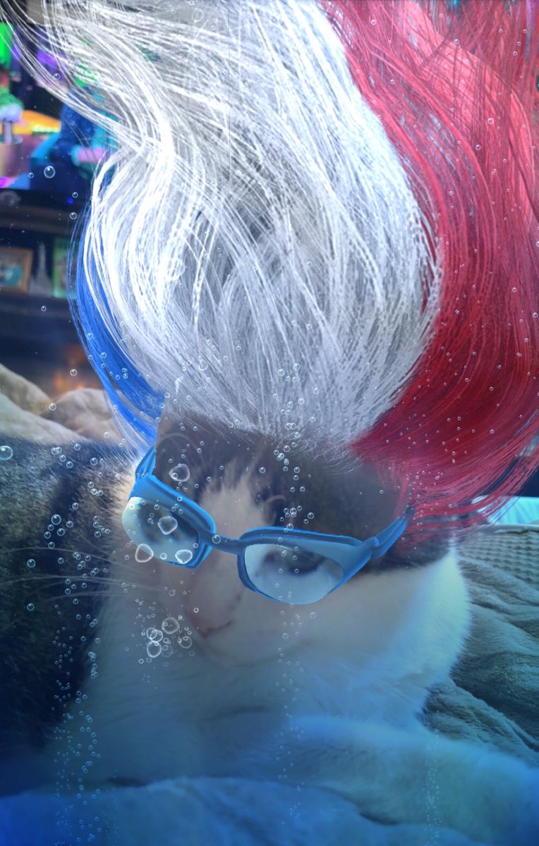 Michelle tweet media