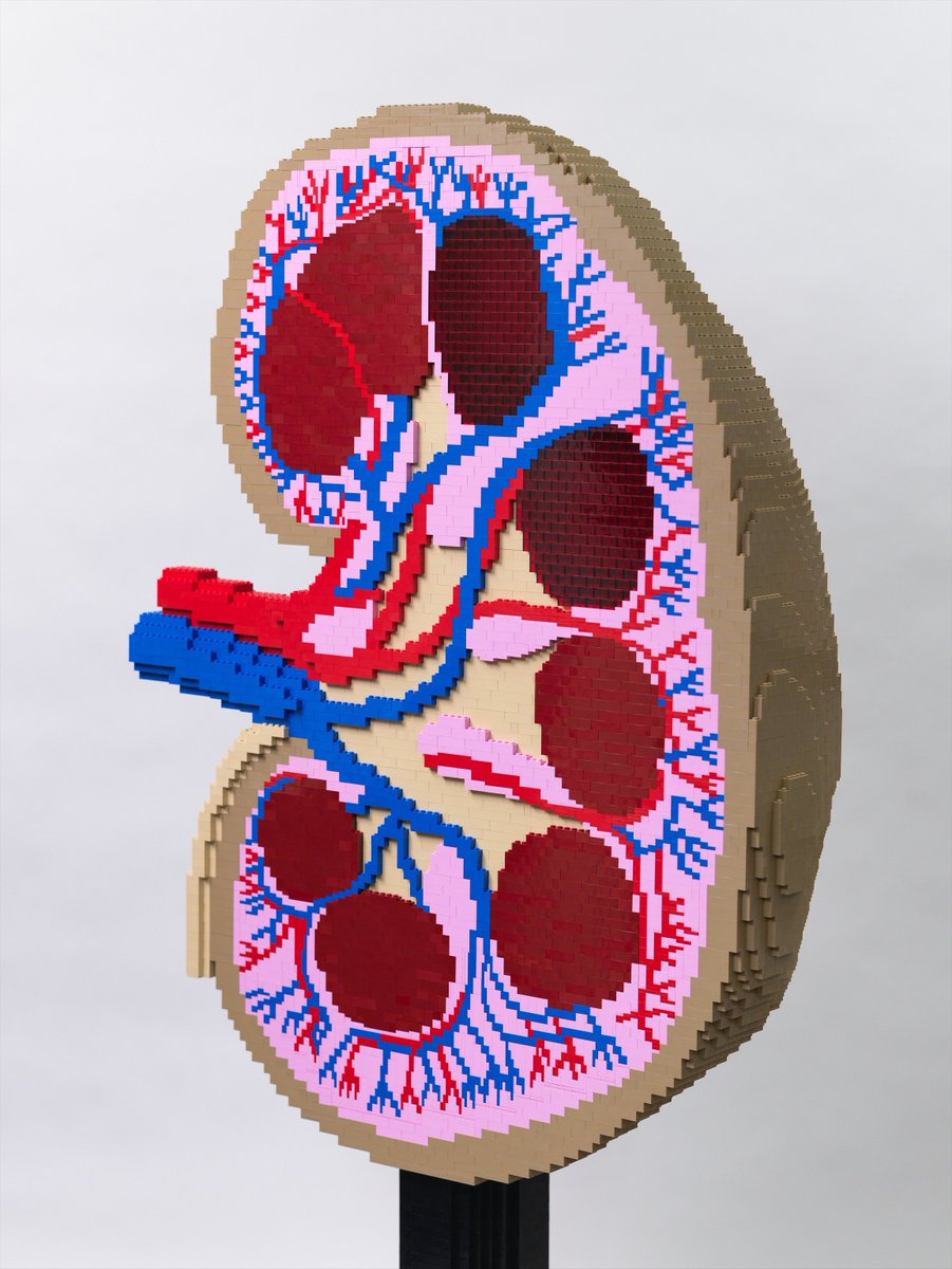 三井淳平 / Jumpei Mitsui tweet media