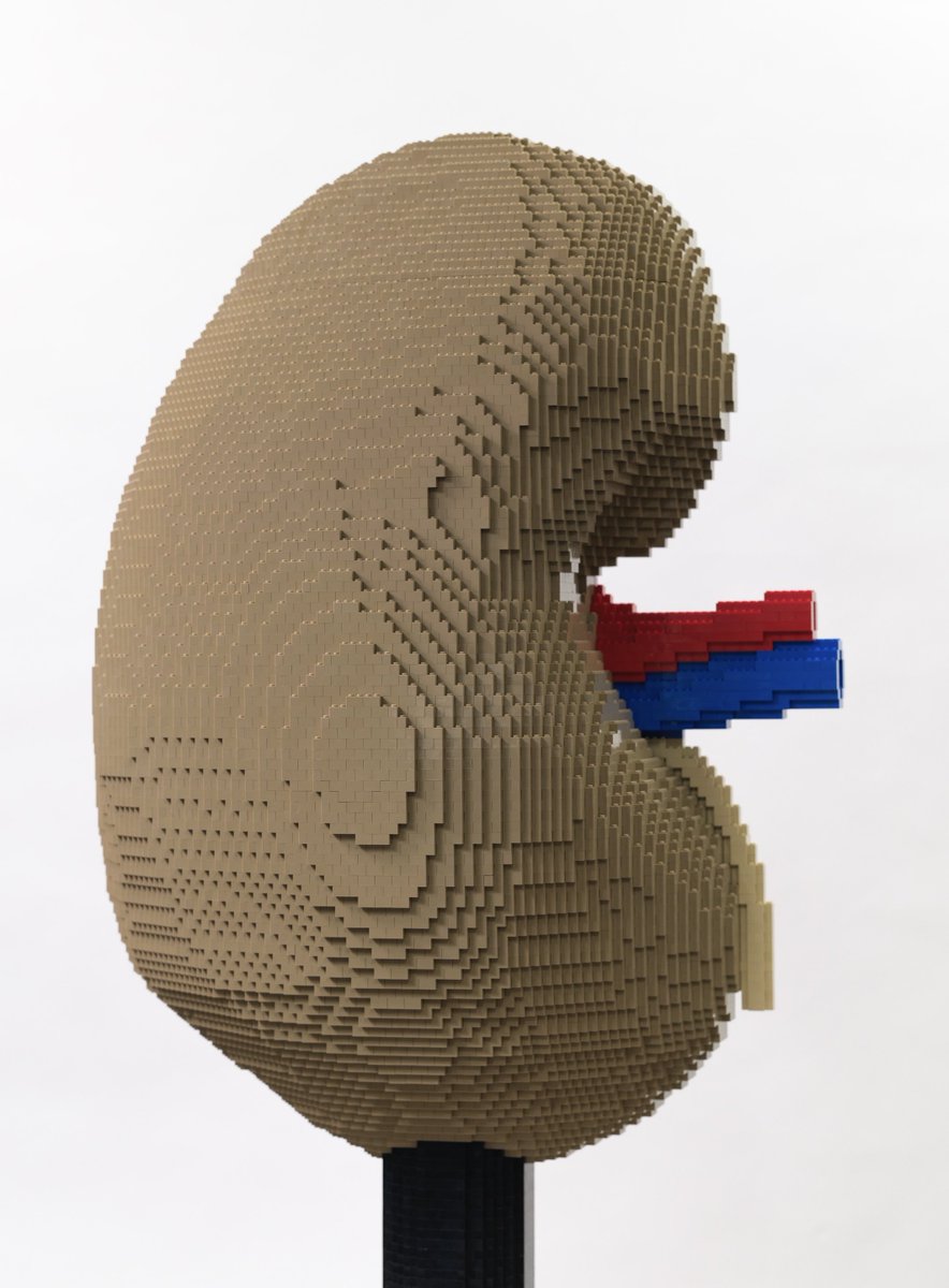 三井淳平 / Jumpei Mitsui tweet media