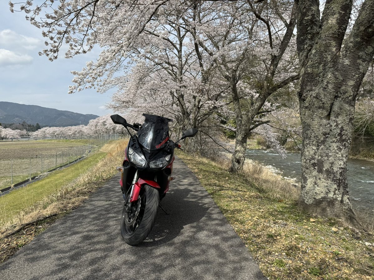 せいち😎🌸😎 tweet media