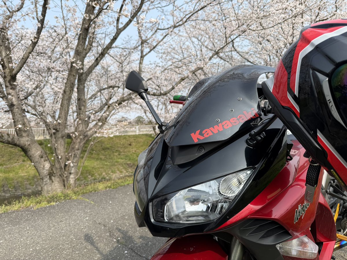 せいち😎🌸😎 tweet media