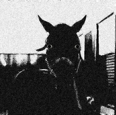 Eishin Flash? tweet media