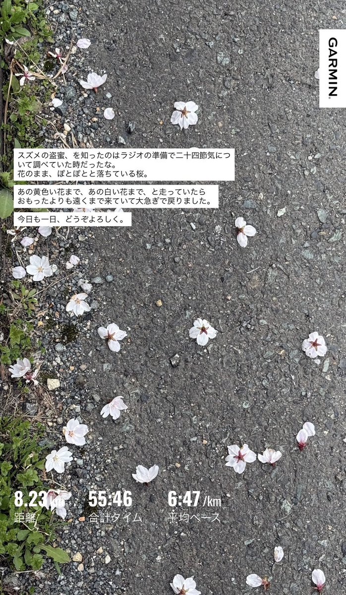 Mari.Sugawara tweet media