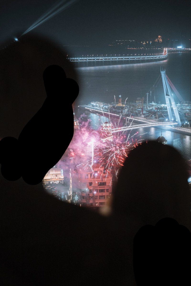 大连一头摄影狮 tweet media