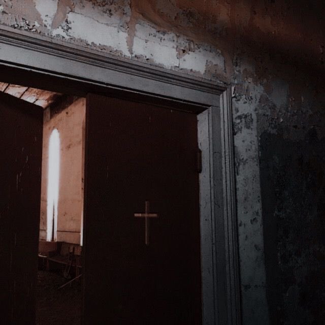 charlie • MDNI tweet media