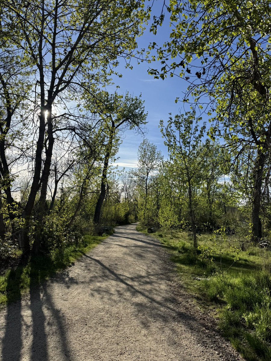 Project Hail Stevie tweet media