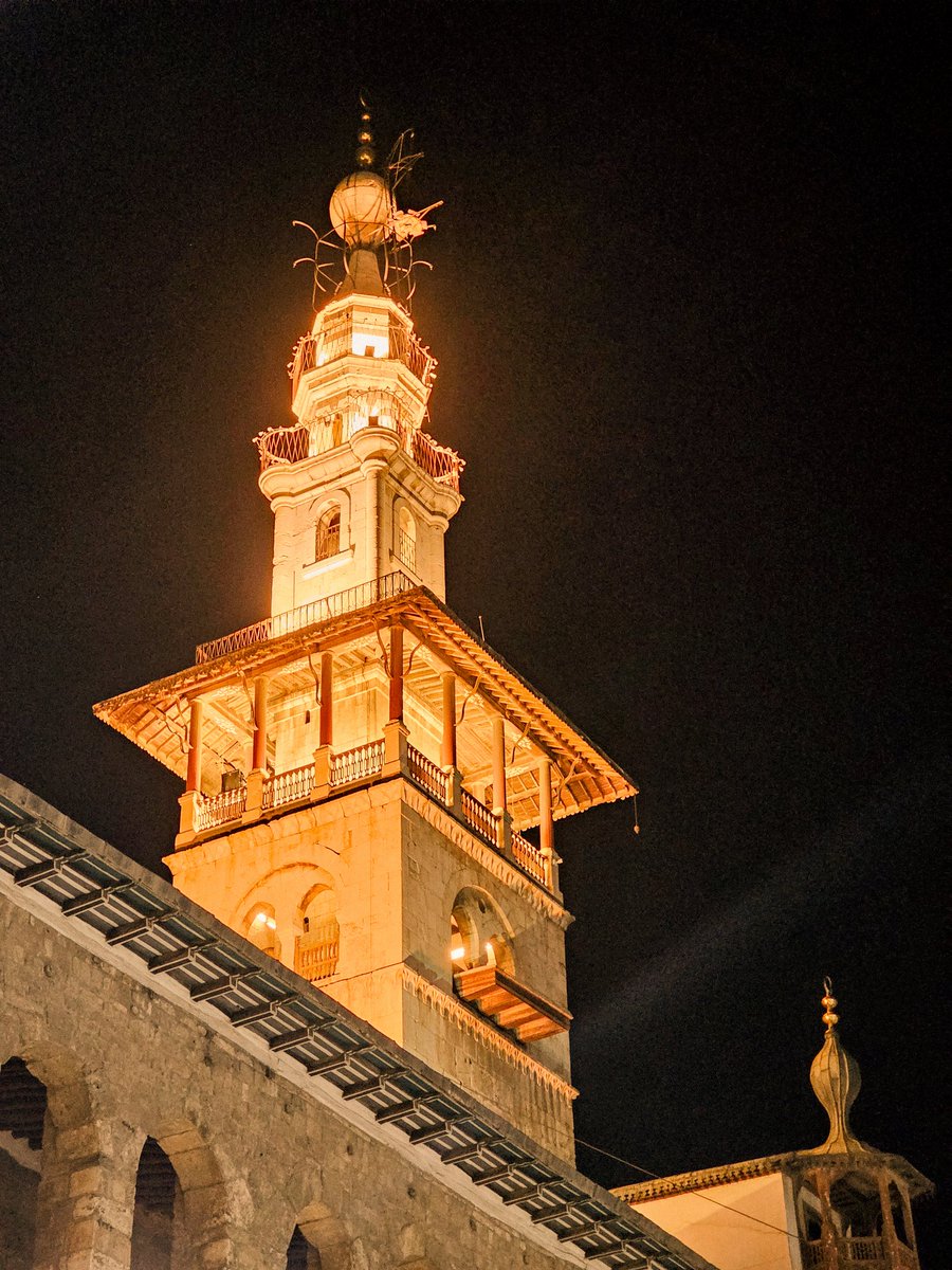 Potato | محمد tweet media