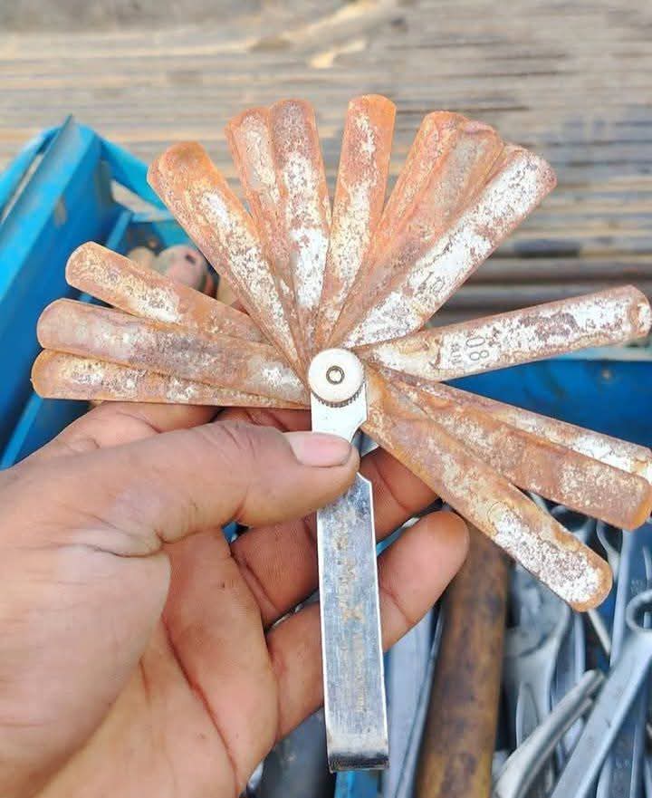 Alice 👑 tweet media