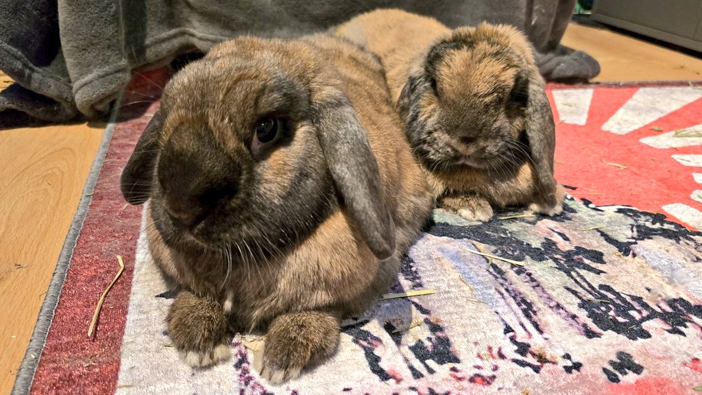 Lythero 🎮 tweet media