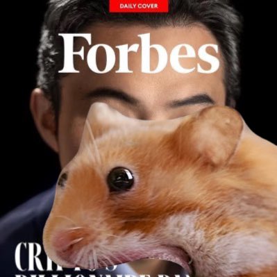 amos_j1's tweet image. Another victim of the hungry hamster. $nomnom 

#eatALLthethings