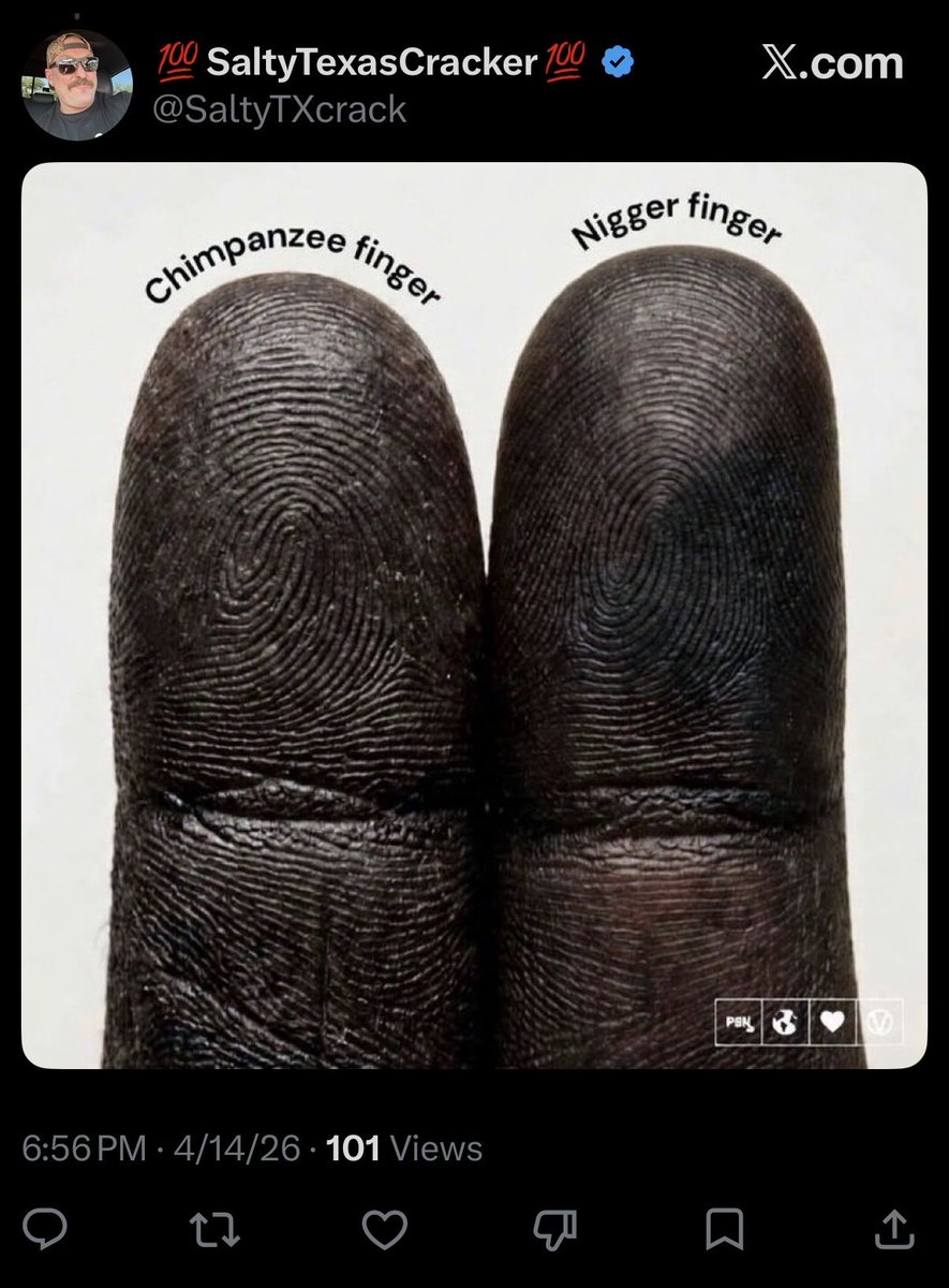 Will Power tweet media