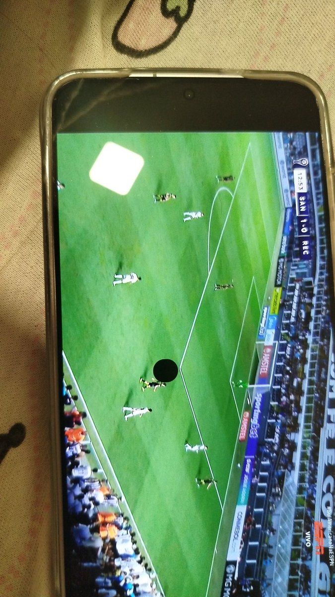 mocchi🍎🐇 tweet media