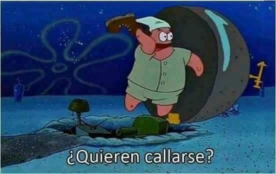 KIWI #Sionopandilla💍🇮🇱 tweet media