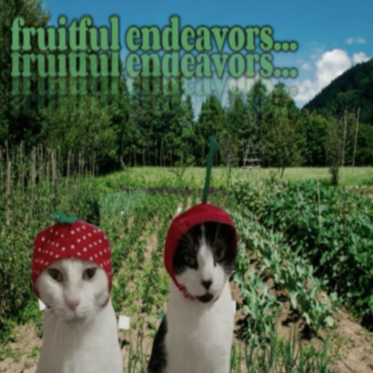 brainrot dimension tweet media