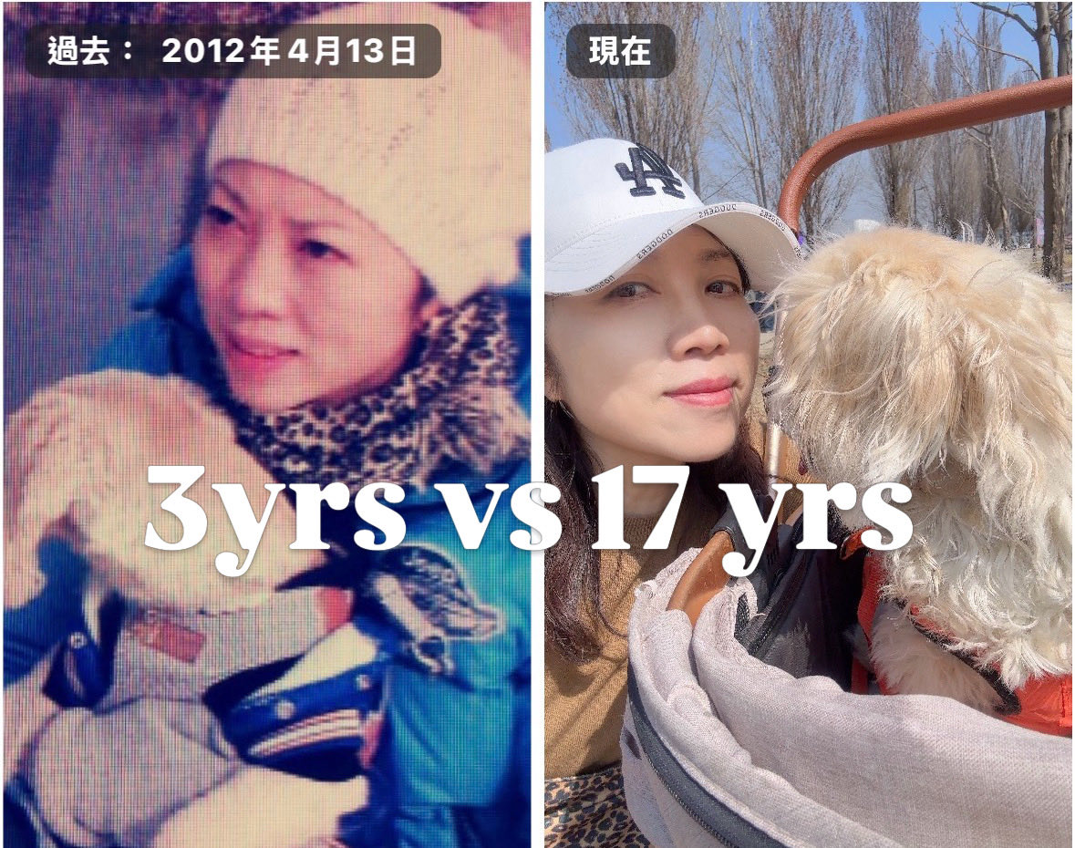 塌鼻子猫 tweet media