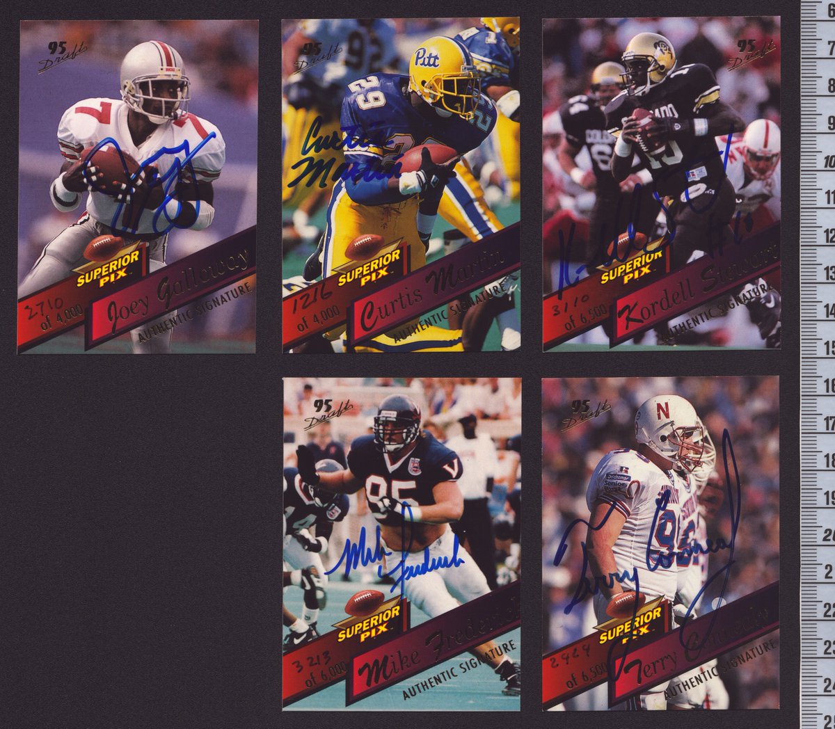 Collectosaurus tweet media