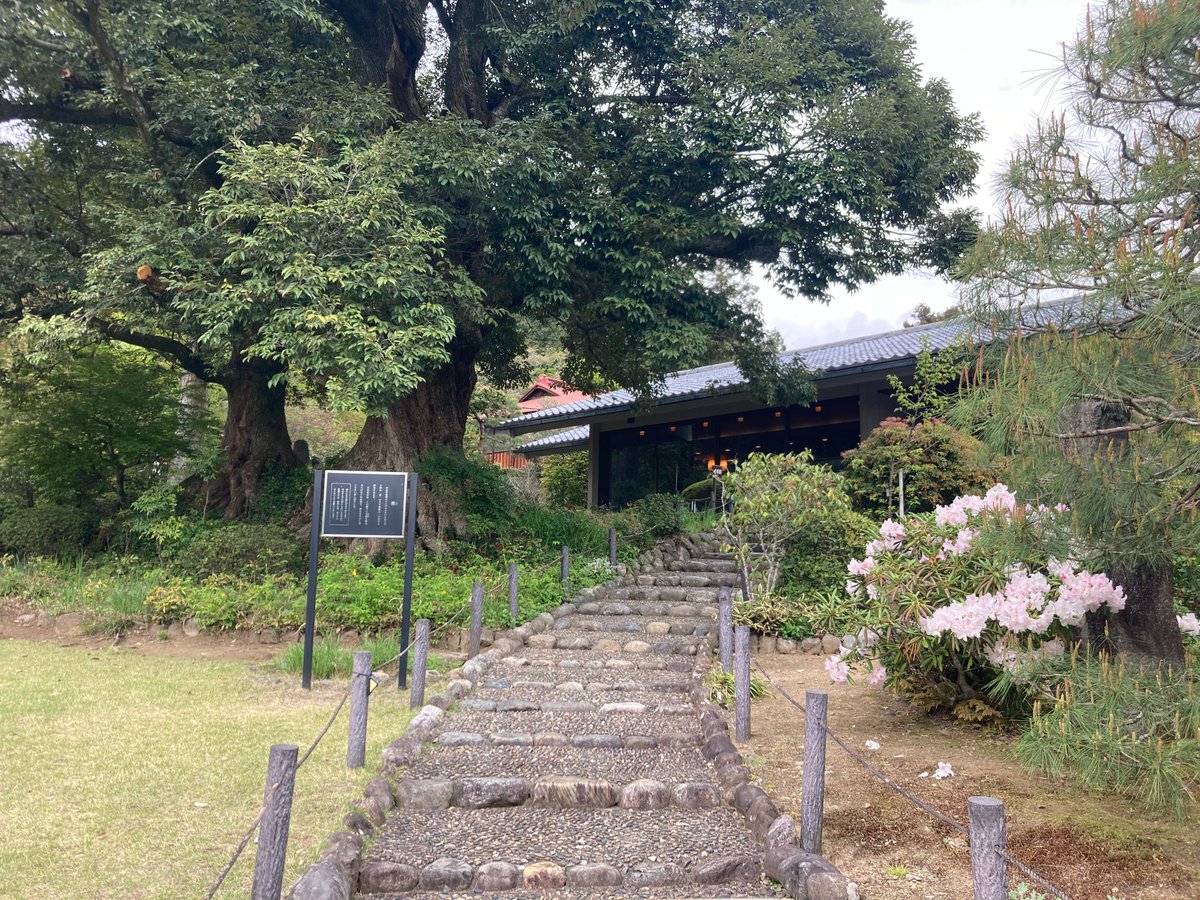 ome_yoshikawa's tweet image. おはようございます。
当館の開館時間は10:00~17:00、最終入館は16：30までとなります。
現在、館内のシャクナゲが見ごろです。主屋裏手ではフジの花が開き始めています。お出かけの際は雨にご注意ください。
皆様のお越しをお待ちしております。
 #青梅市 #記念館 #青梅市吉川英治記念館
