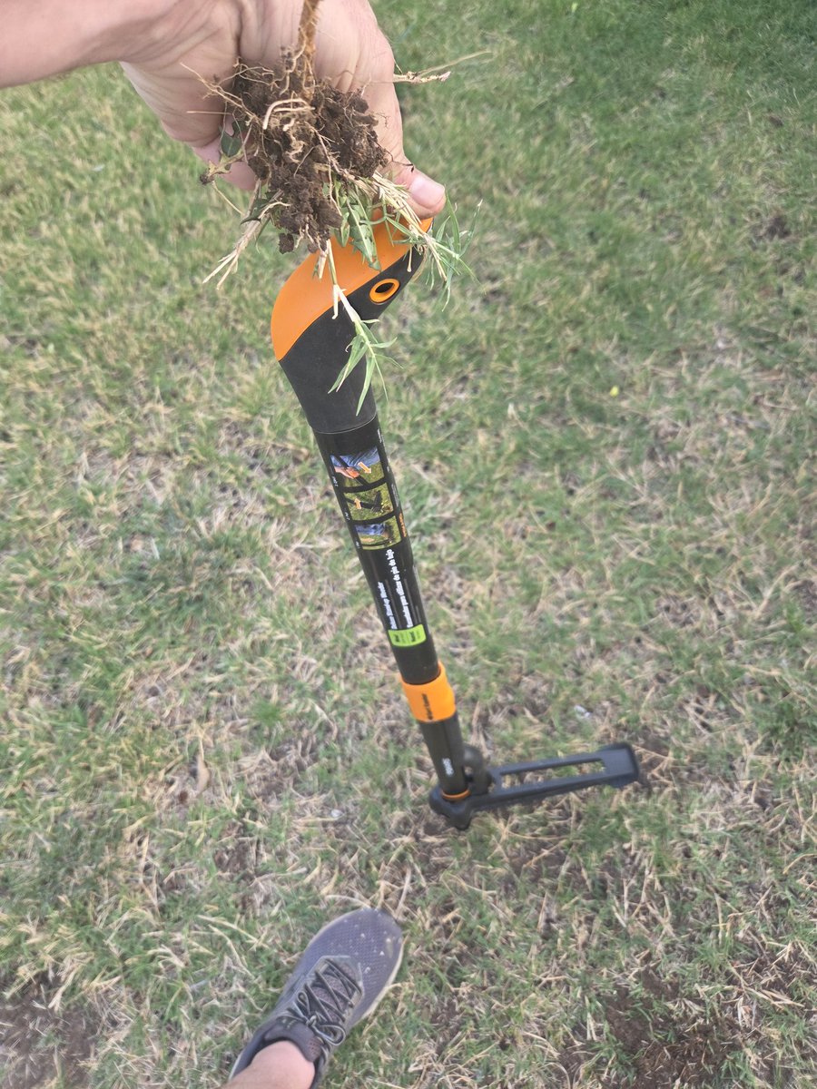 Alan West tweet media