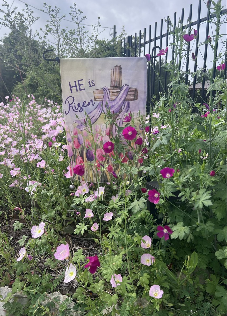 SoFreeMe tweet media