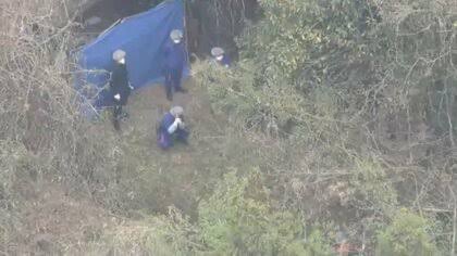 光源氏🇯🇵 tweet media