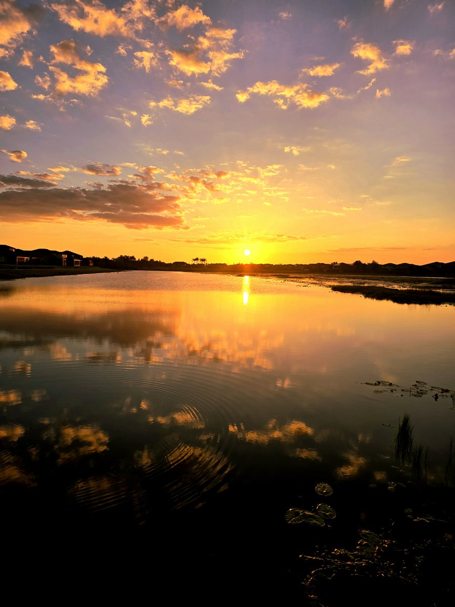 PaulFox13's tweet image. Riverview checking in. 

📷 Tammii Ann

#Florida #sunset