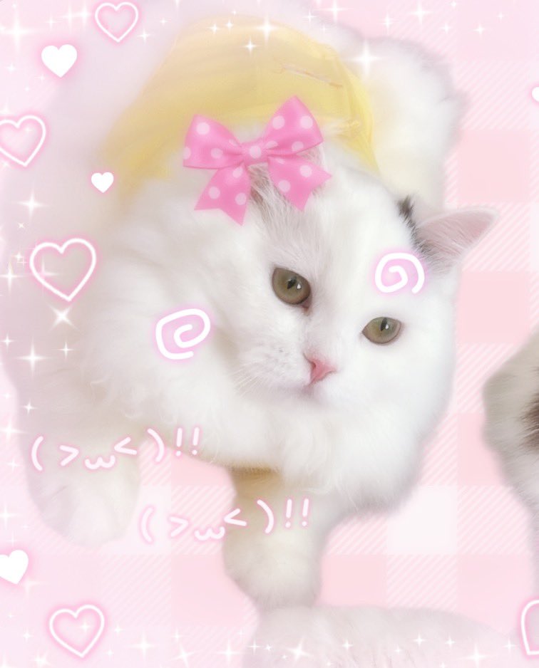 はしっこぐらし tweet media