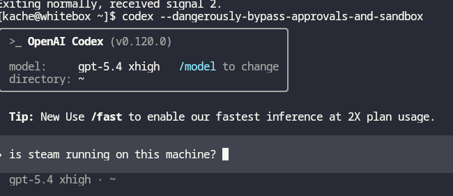 yacineMTB's tweet image. 