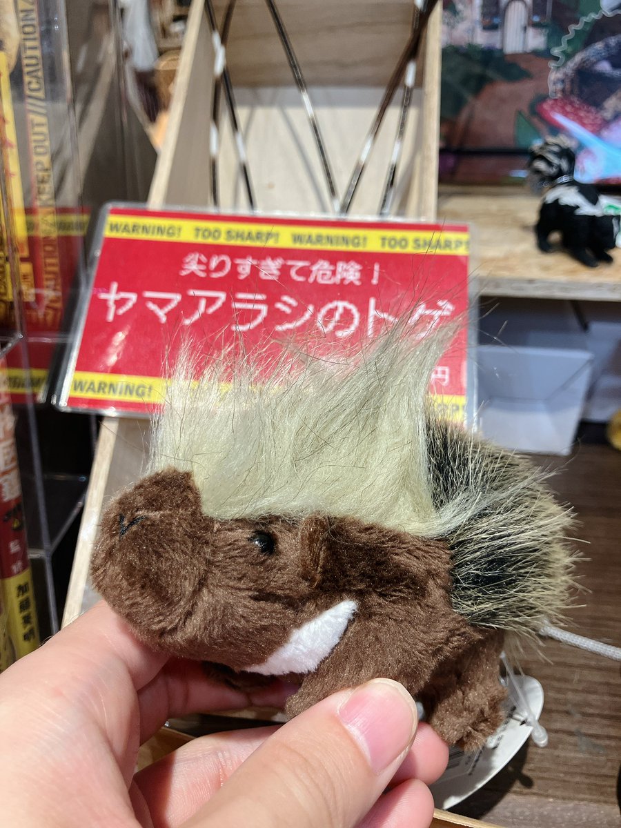 THE STUDY ROOM エキュート上野店 tweet media