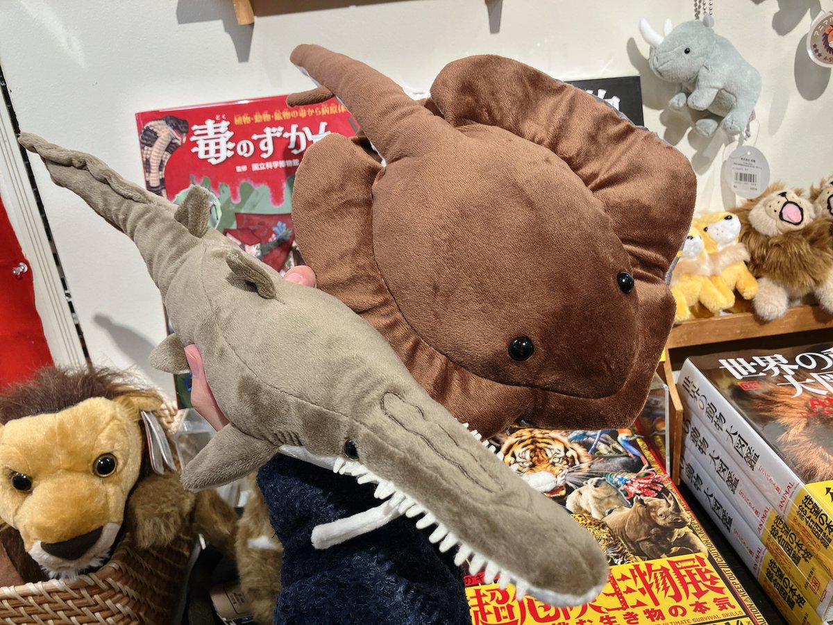 THE STUDY ROOM エキュート上野店 tweet media