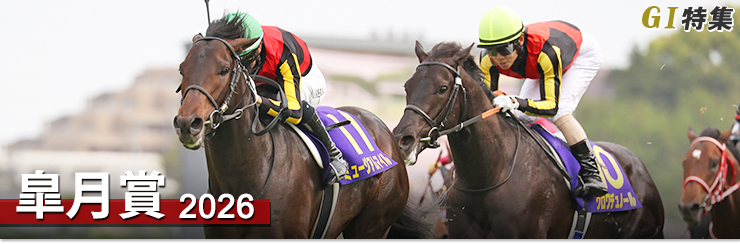 JRA-VAN公式 tweet media