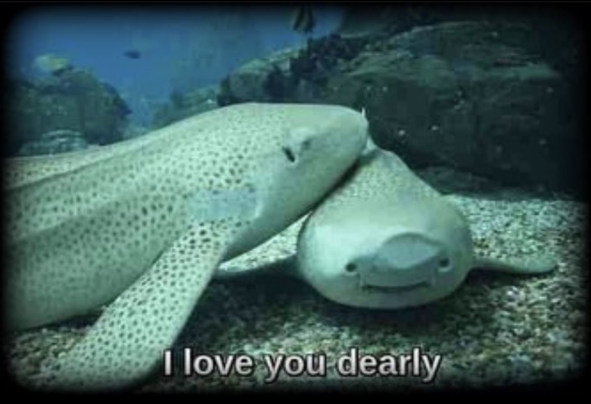 ⚓️, fιᥲ #deepseatwt tweet media