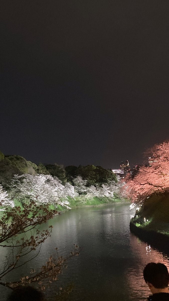 Pirates_Tokyo's tweet photo. 少し前ですが、千鳥ヶ淵の夜桜です。
友人とふらっと行ってみたのですが
やはり絶景です🌸

仕事もハードにやりながら
こういう日本の素敵な景色もたまに拝むのはいいですね✨

#千鳥ヶ淵 https://t.co/jRYnChphTc