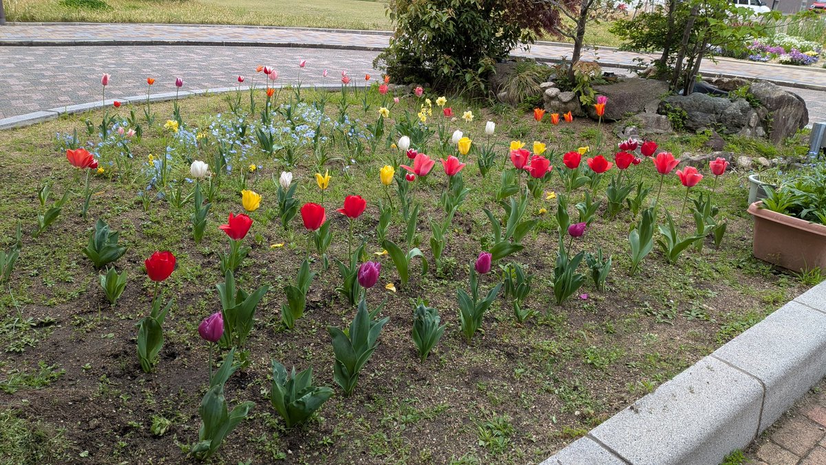 雛花@最近、松井江に夢中の山城国審神者 tweet media