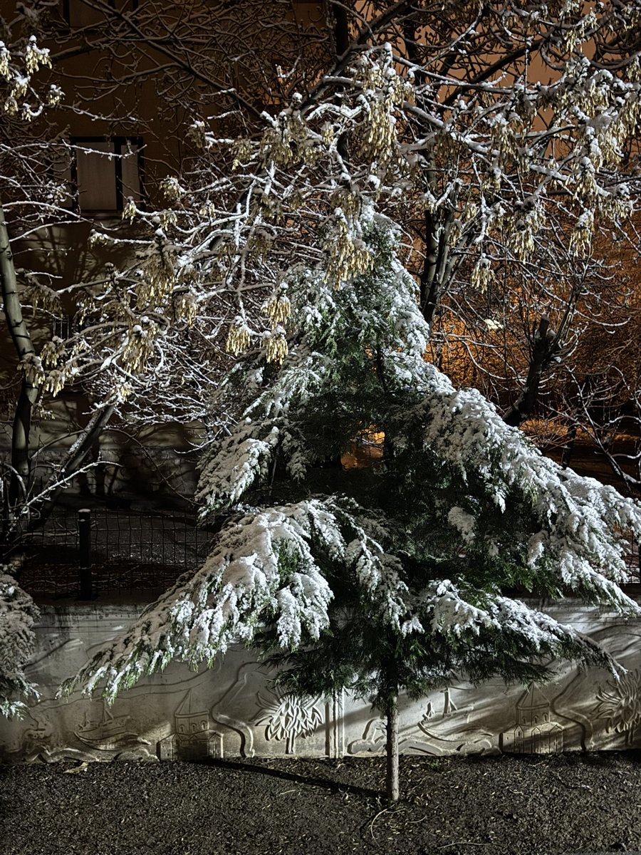 İnat ettim Allah rızası için,dışarıdaki kara inat yarın  tişört ve şortla sokağa çıkmaya.Amin 🙏 15.04.2026
