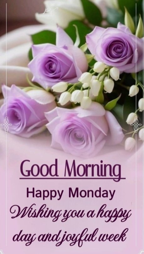 nps raghav tweet media