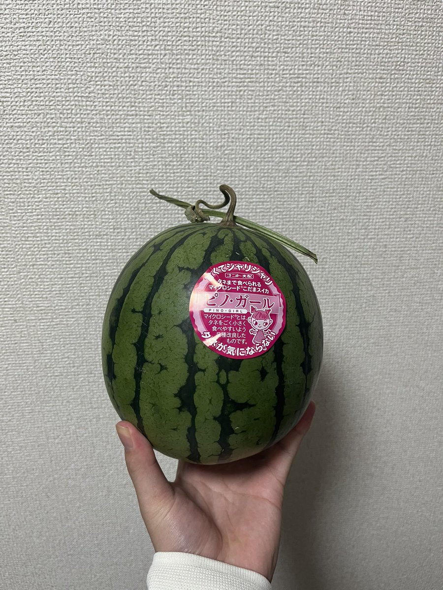 SS熊本｜すぴくん tweet media