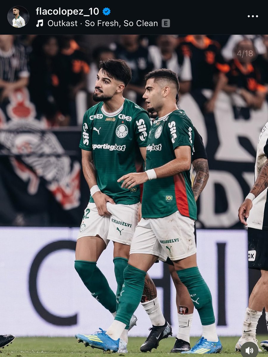 tameiras ✧ tweet media