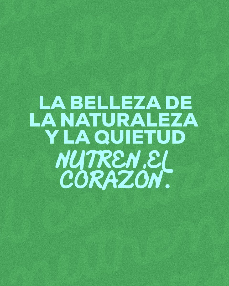Vaya con Dios Tv tweet media